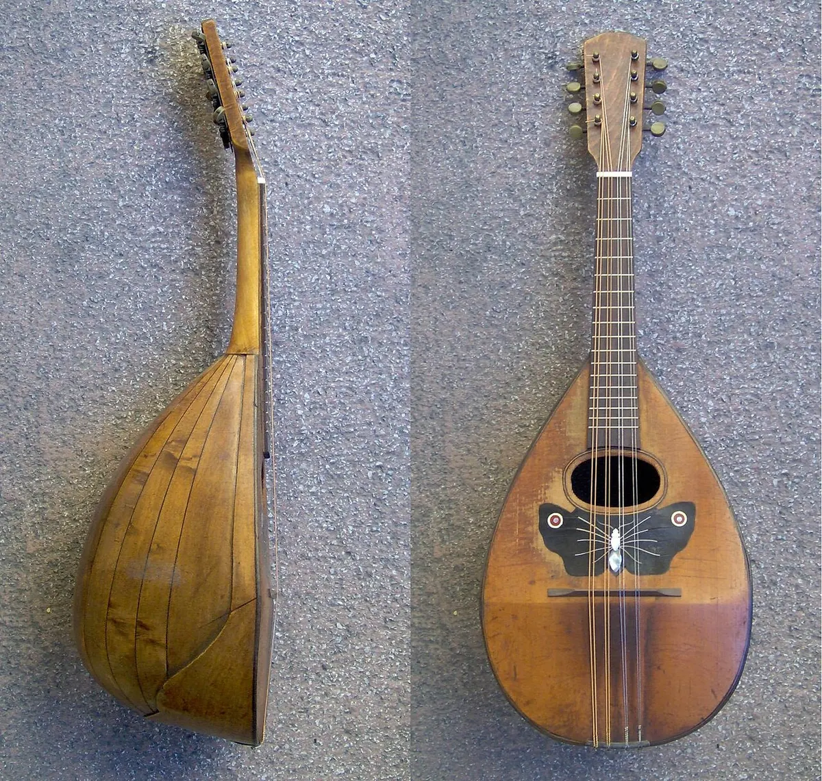To visninger af en rundrygget mandolin i napolitansk stil, fra siden og forfra